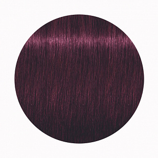 Schwarzkopf Igora Royal Стойкая крем-краска для волос 6-99 Темный русый фиолетовый экстра Schwarzkopf Igora Royal Стойкая крем-краска для волос 6-99 Темный русый фиолетовый экстра