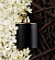 Ralph Lauren Ralph Lauren Woman by Ralph Lauren Intense