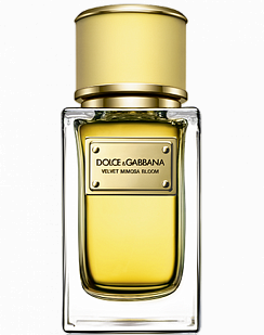 Dolce & Gabbana Velvet Mimosa Bloom Dolce & Gabbana Velvet Mimosa Bloom
