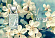 Loewe Loewe Loewe L Cool Loewe Loewe Loewe L Cool