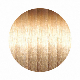 Paul Mitchell The Color XG Стойкая краска для волос 10/3 G - Золотистый платиновый блондин