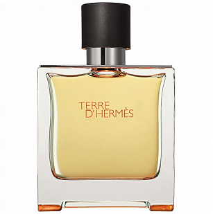Hermes Hermes Terre d`Hermes Parfum
