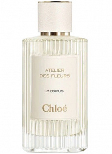 Chloe Chloe Atelier des Fleurs: Cedrus