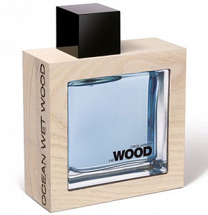 Dsquared2 Dsquared2 He Wood Ocean Wet Wood