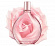 Donna Karan Donna Karan Pure DKNY A Drop Of Rose