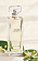 Ralph Lauren Ralph Lauren Riviera Dream - Orange Flower