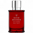 David & Victoria Beckham Intense Instinct