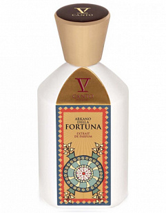 V Canto V Canto Arkano Della Fortuna