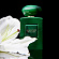Giorgio Armani Giorgio Armani Armani Prive Vert Malachite