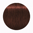Igora Royal High Power Browns - Краска для волос брюнеток В-8 Igora Royal High Power Browns - Краска для волос брюнеток В-8