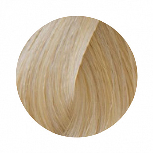 Goldwell Topchic Hair Color Coloration Стойкая профессиональная краска для волос 10N - светлый блондин экстра