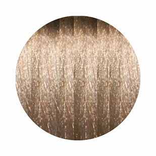 Paul Mitchell The Color XG Стойкая краска для волос 10/1 A - Пепельный платиновый блондин