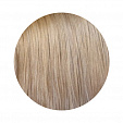 Topchic Hair Color Coloration Стойкая профессиональная краска для волос 11A - белокурый пепельный Topchic Hair Color Coloration Стойкая профессиональная краска для волос 11A - белокурый пепельный