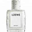 Loewe Iris Root Loewe Iris Root