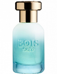 Bois 1920 Bois 1920 Marasma