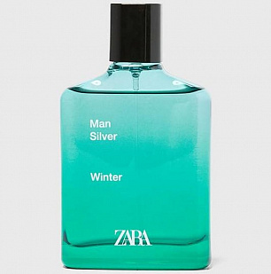 Zara Zara Zara Man Silver Winter