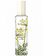 Jo Malone Hemlock & Bergamot