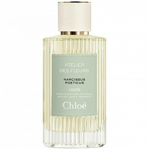 Chloe Chloe Atelier des Fleurs: Narcissus Poeticus