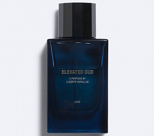 Zara Zara ELEVATED OUD
