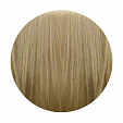 Luo Color Краска для волос - 10.21
