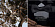 Alex Simone Alex Simone En Terrasse Parfum Absolu Alex Simone Alex Simone En Terrasse Parfum Absolu
