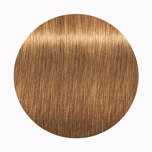 Schwarzkopf Igora Royal Стойкая крем-краска для волос 8-55 Светлый русый золотистый экстра Schwarzkopf Igora Royal Стойкая крем-краска для волос 8-55 Светлый русый золотистый экстра