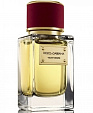 Dolce & Gabbana Velvet Desire