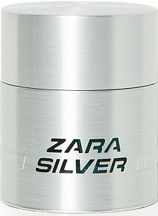 Zara Zara Zara Silver
