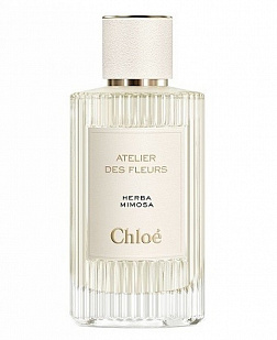 Chloe Chloe Atelier des Fleurs: Herba Mimosa